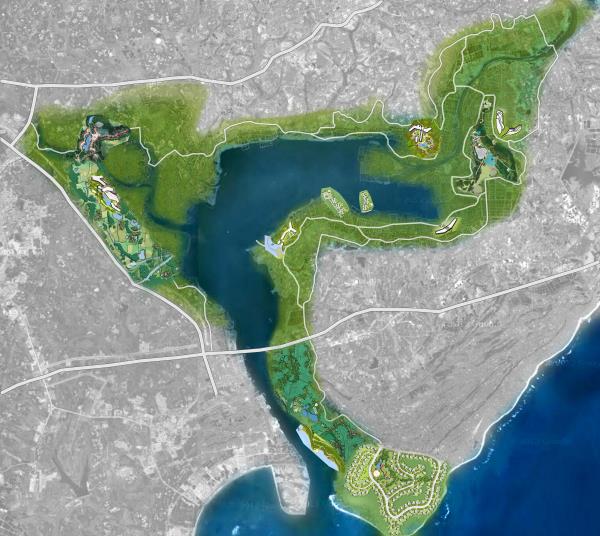 海南文昌崩坎岛红树林生态
